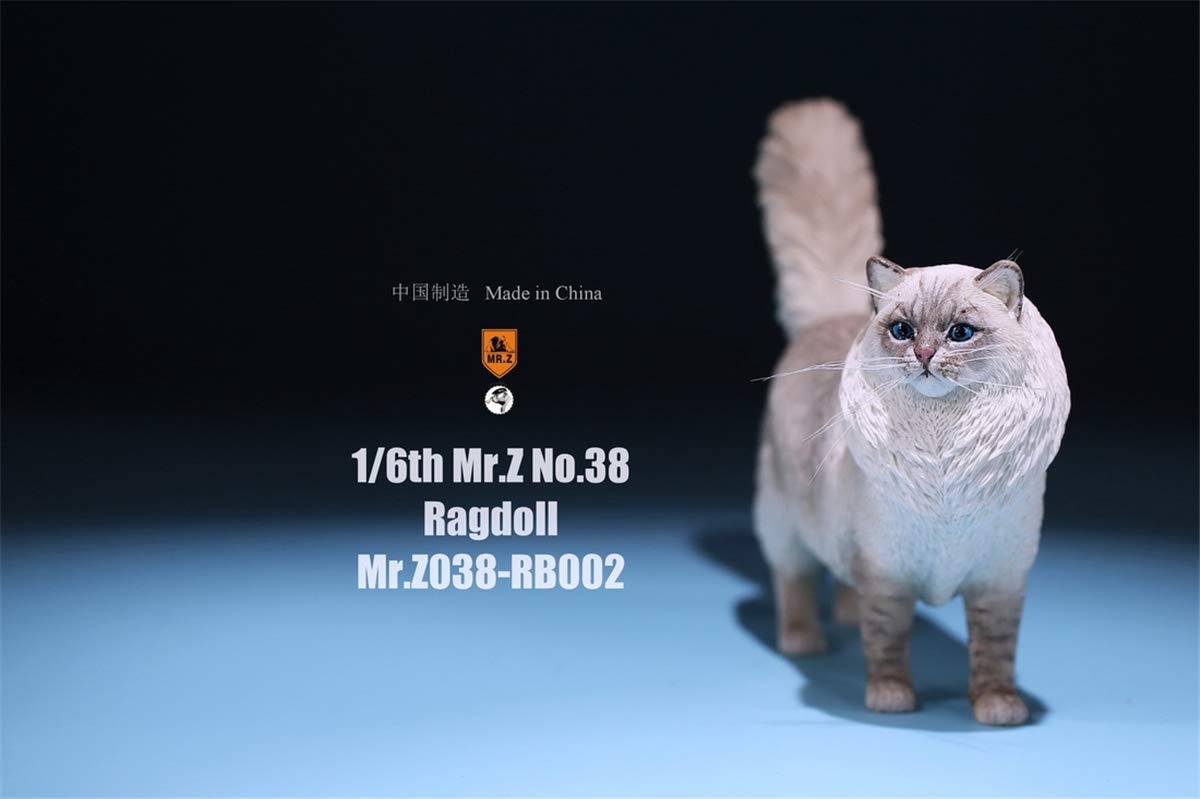 1:6 Scale Realistic Ragdoll Cat Pet Figure - Lifelike Felidae Animal Model for Home Decor, Collectors & Dollhouse Miniature Scenes