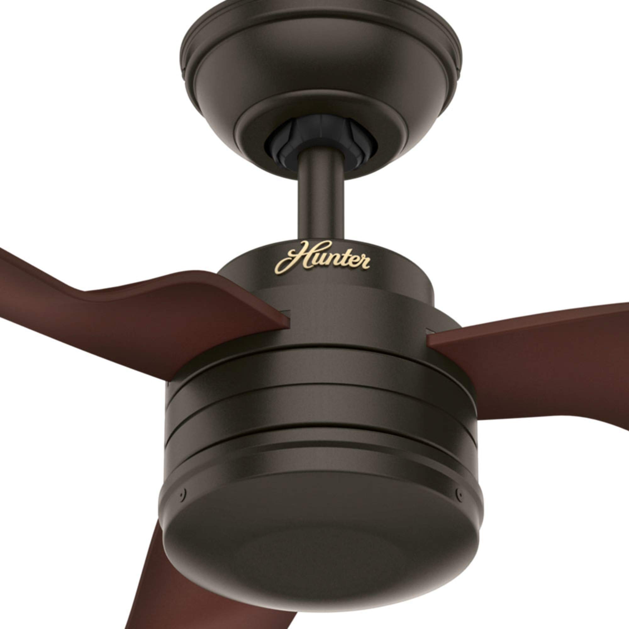 Hunter Fan Company 50258 Cabo Frio 52-Inch Indoor/Outdoor Ceiling Fan with New Bronze Finish - Perfect for Patio, Bedroom & Living Room Cooling