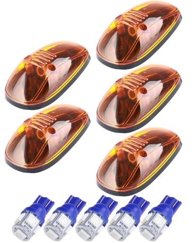 Amber Len Blue Bulbs