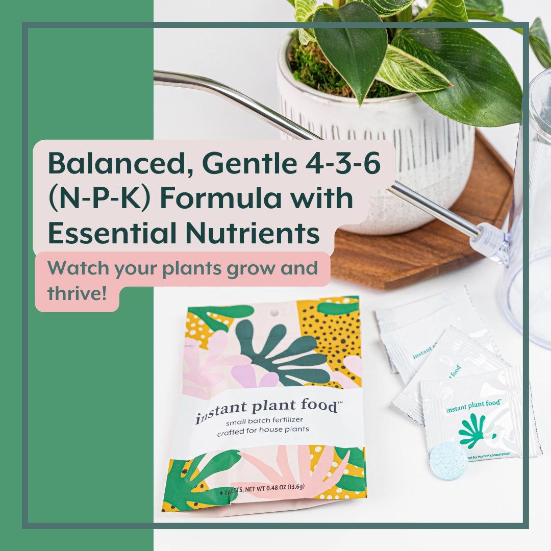Best Houseplant Fertilizer Tablets - Fast-Acting Indoor Plant Food for Lush Growth | Perfect for Potted Plants, Succulents & Flowers