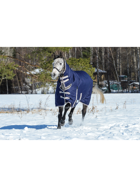 Weatherbeeta Essential Combo Medium Turnout Horse Blanket - Waterproof & Breathable Stable Rug for Winter & Turnout - Perfect for Cold Weather Riding, Stable Use & Outdoor Turnout