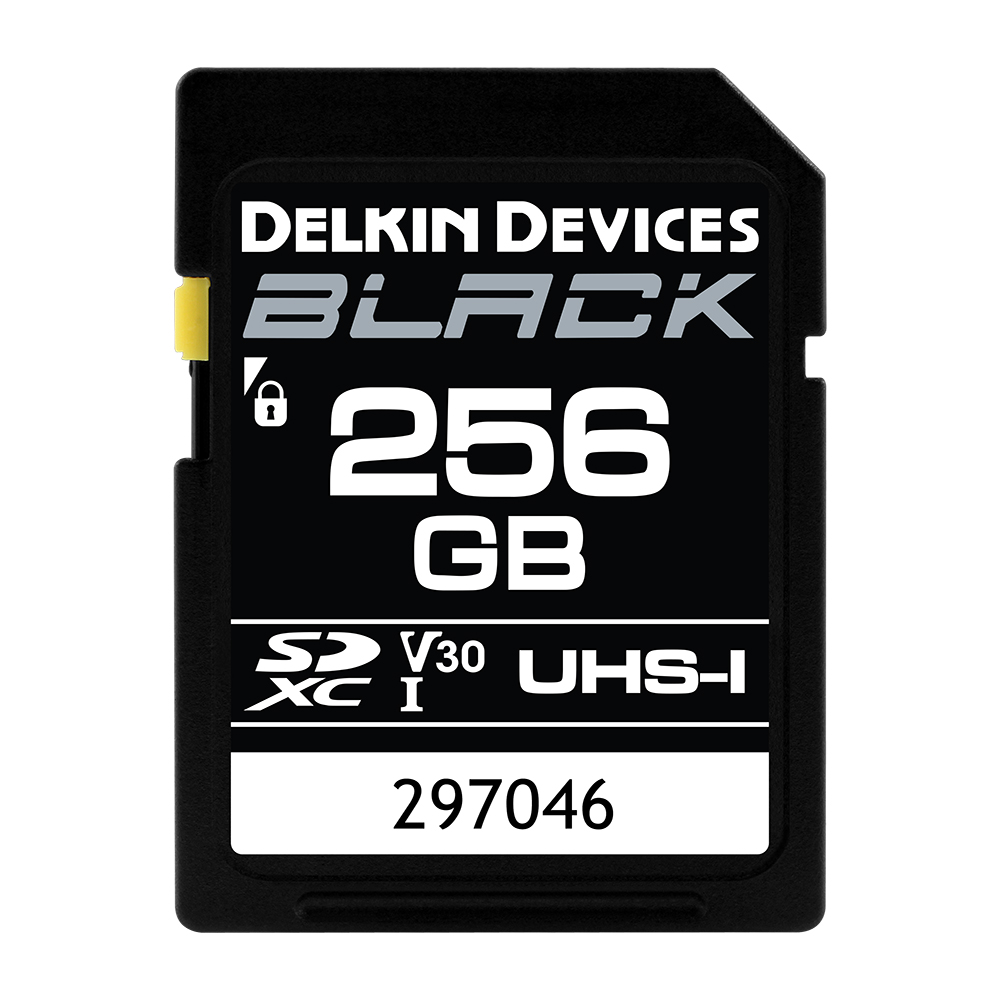 Delkin 256GB SDXC UHS-I Memory Card - High Speed, Reliable Storage for DSLR Cameras, Drones & 4K Video Recording
