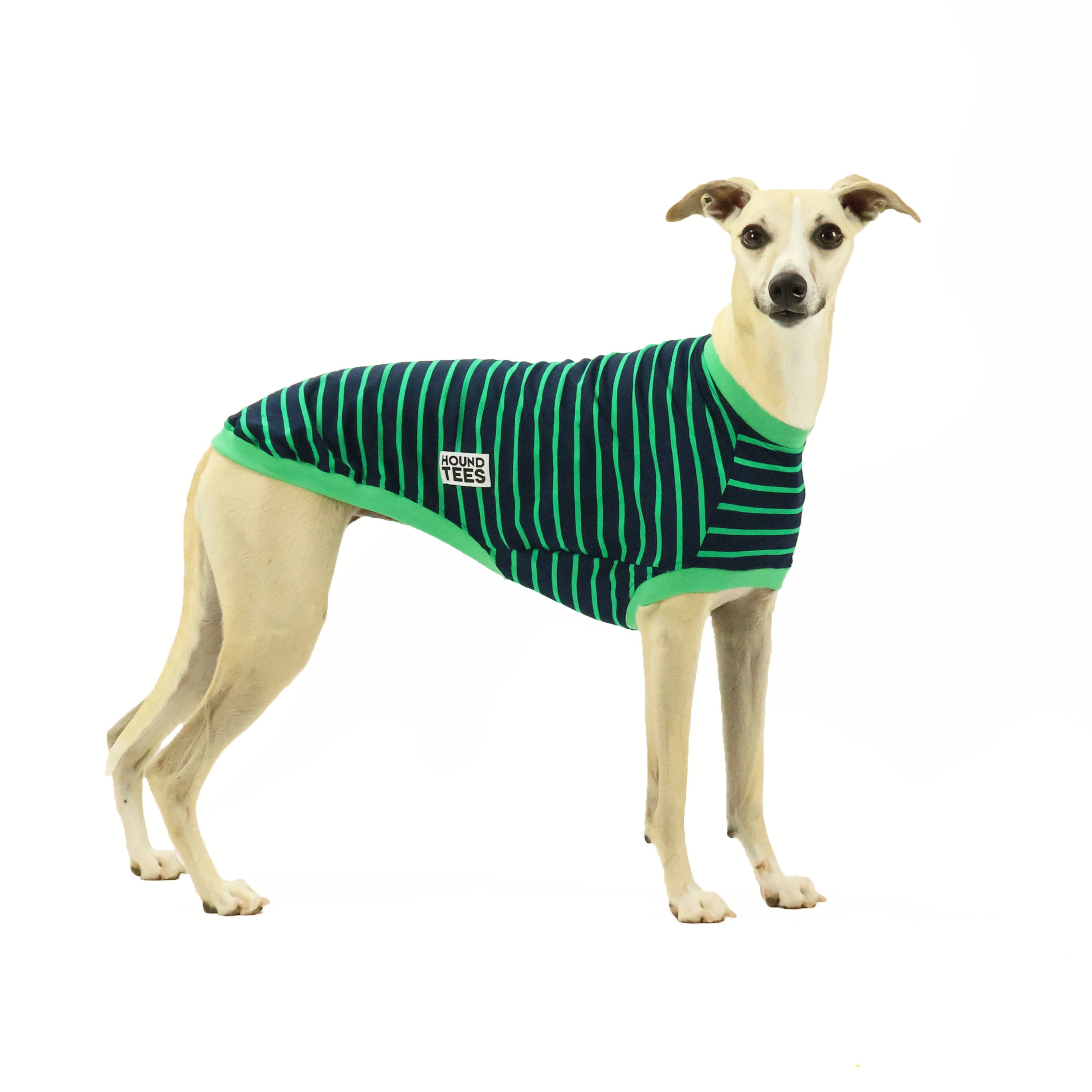 Kermit Whippet Sleeveless Hound T-Shirt for Dogs - Comfortable Summer Pet Apparel for Outdoor Adventures & Playtime
