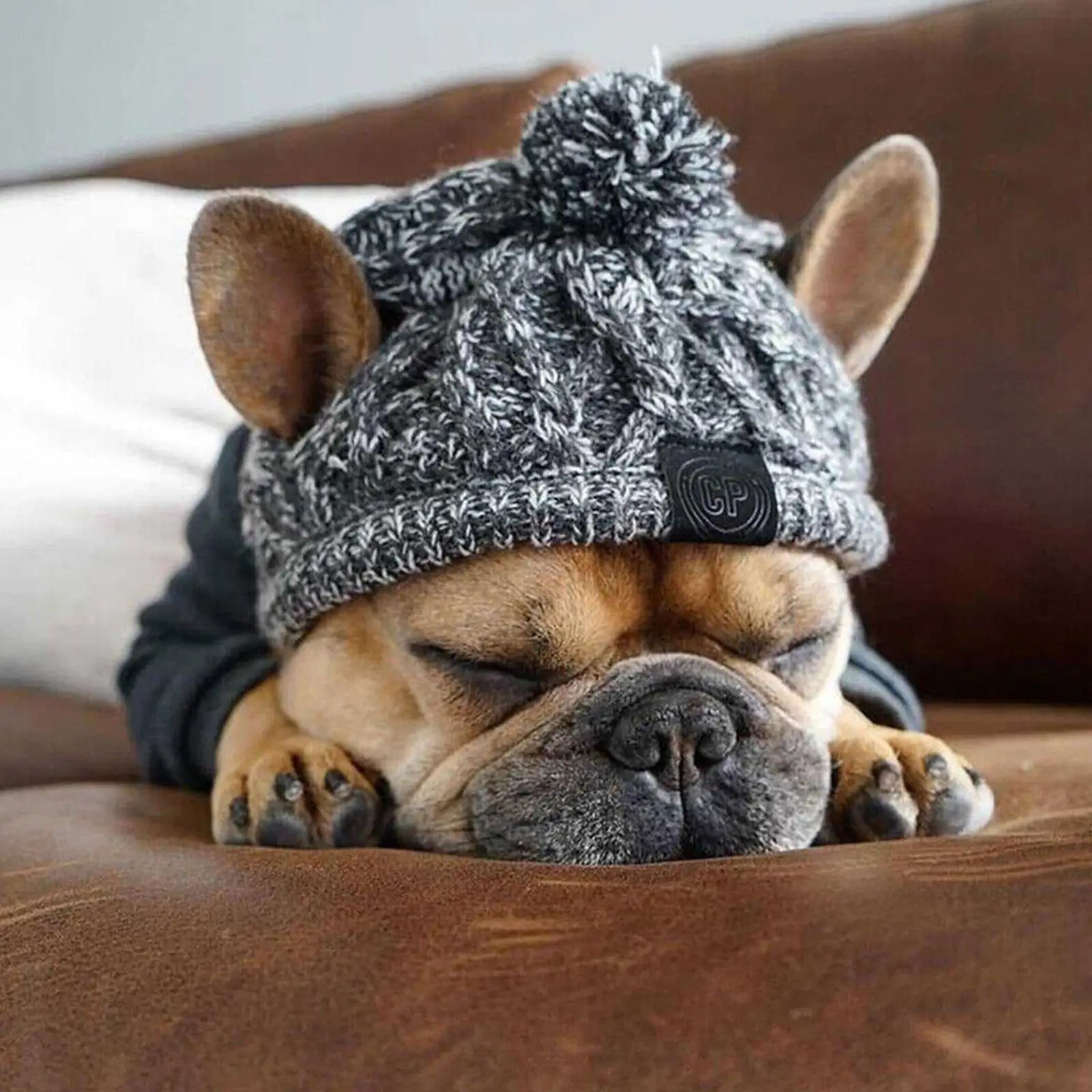 Windproof Knit French Bulldog Winter Hat with Fluffy Ball - Warm & Stylish Dog Beanie for Cold Weather, Outdoor Walks & Pet Fashion