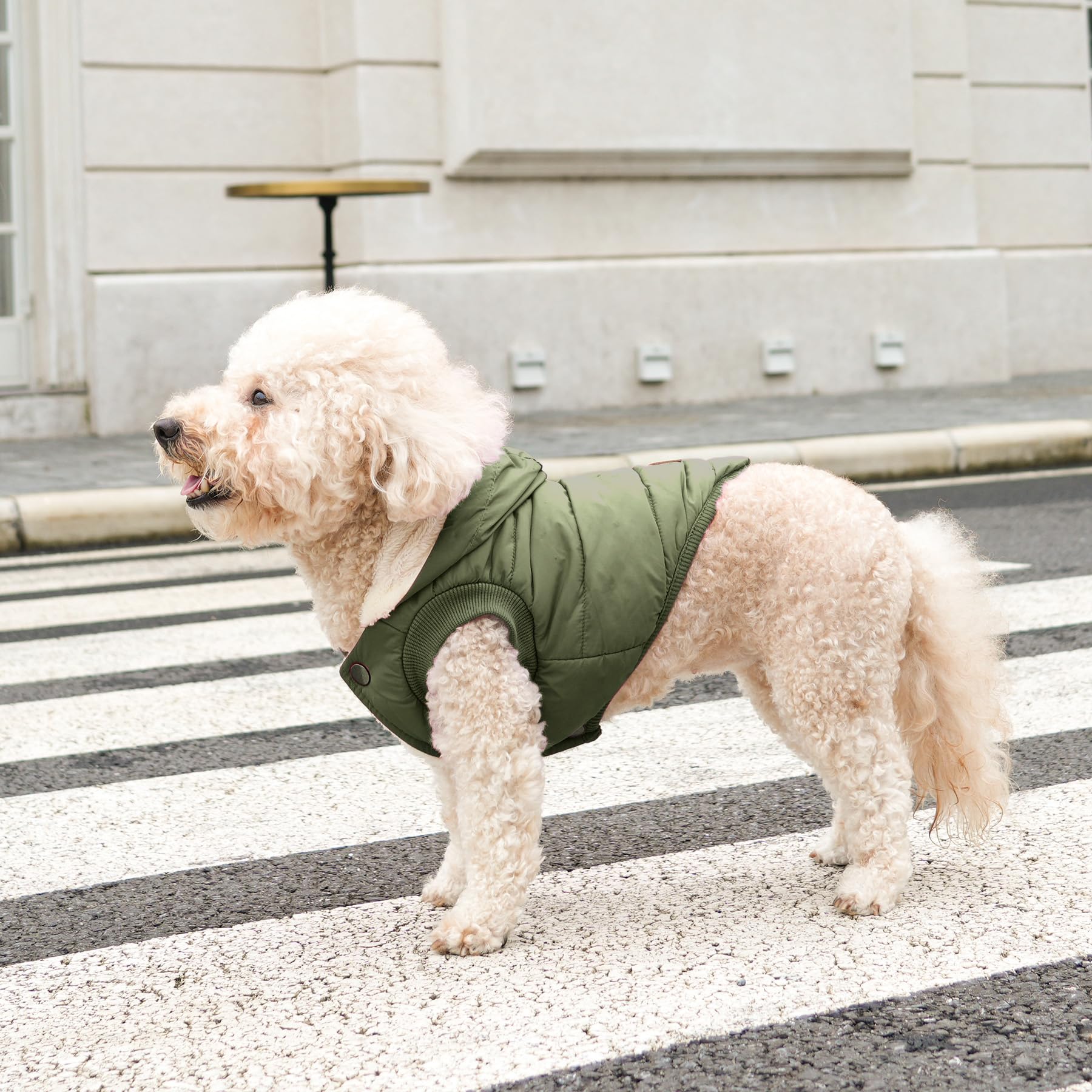 Extra Warm Winter Dog Hoodie Jacket for Large Dogs - Green XXL Pet Coat with Hood | Cozy Outdoor & Indoor Wear for Cold Weather