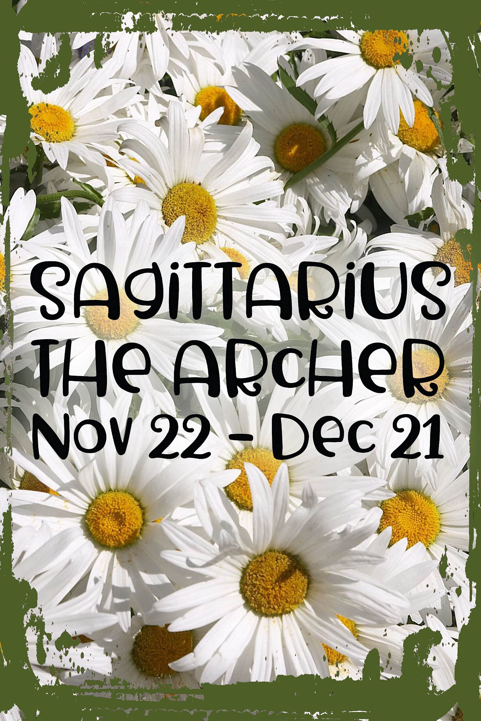 Funky Sagittarius Zodiac Wall Art - Daisy Flower Decor for Nov 22-Dec 21 Birthdays - 8x12 Astrology Hanging Sign - Perfect Funny Gift for Home & Office Decor