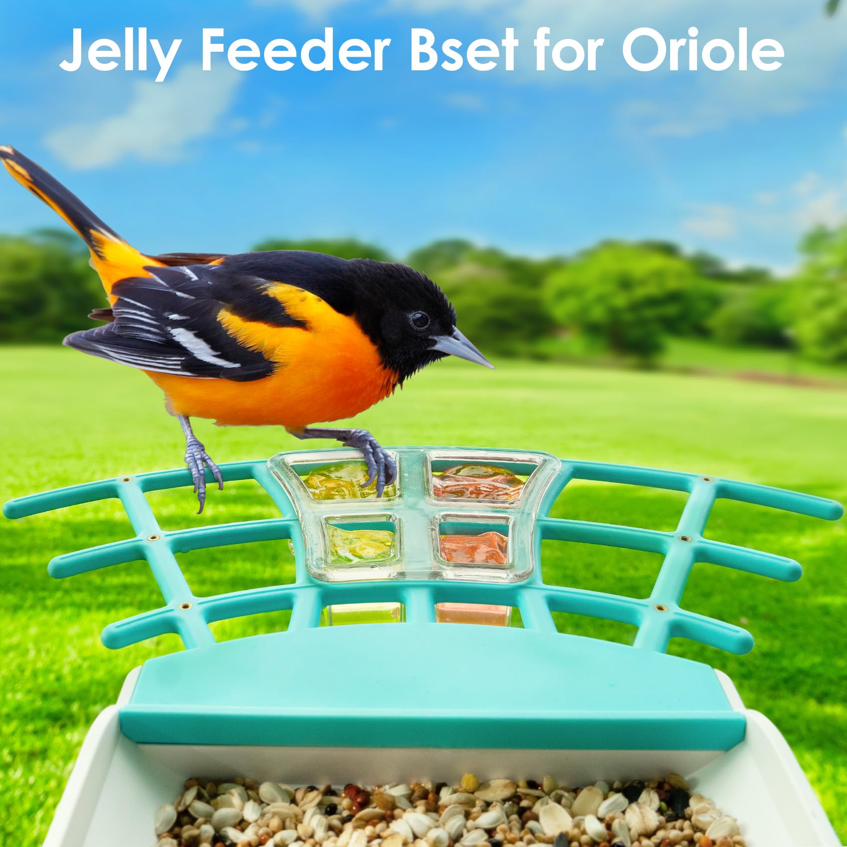 Smart Bird Feeders Kit - Hummingbird Feeder, Suet Ball Feeder & Jelly Holder - Attract More Birds to Your Garden - Perfect for Backyard Bird Watching & Nature Lovers - Birdkiss AS001-PMWH-US