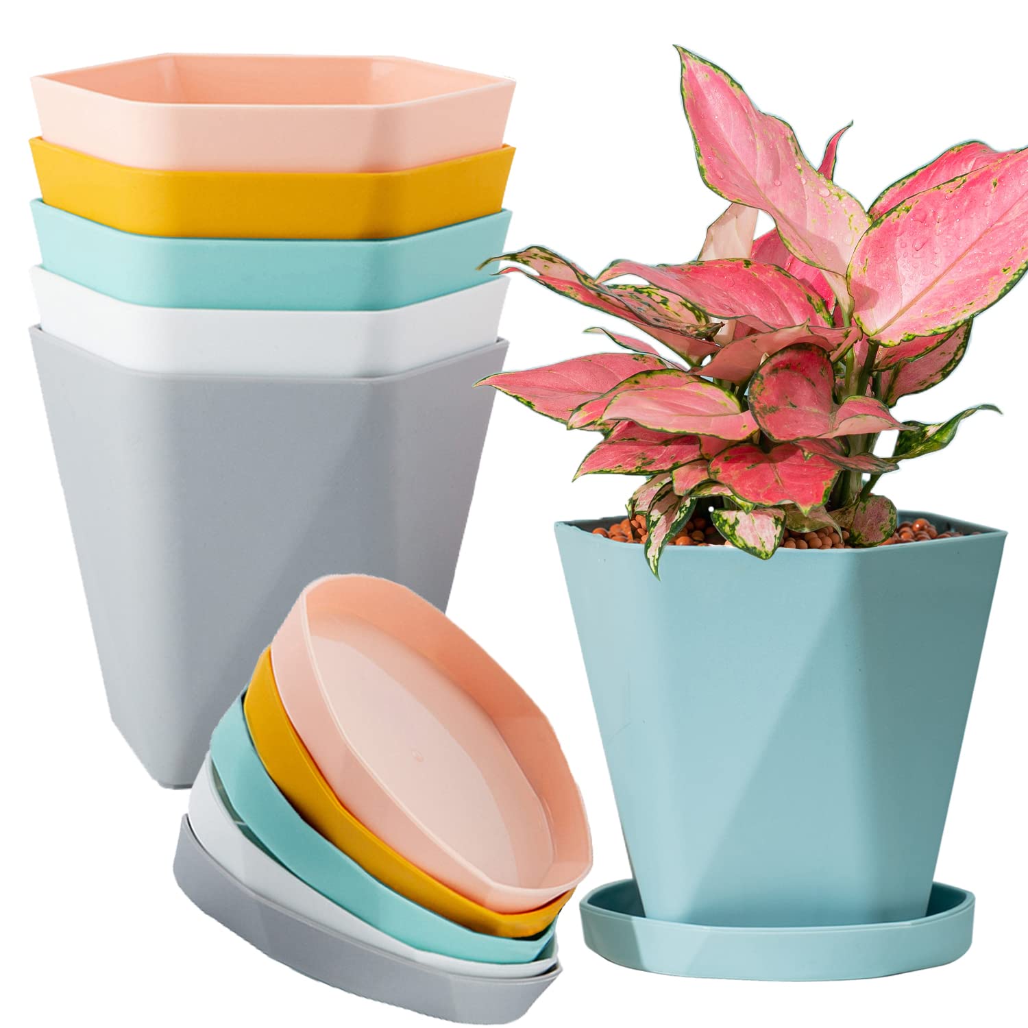 6.6 Inch Small Plastic Plant Pots - 12 Pack Square Indoor/Outdoor Flower Pots for Succulents, Herbs & Mini Plants - Perfect for Home, Garden, Office & Balcony Decor