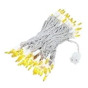 100 LED Warm White Mini String Lights - 50ft Indoor/Outdoor Christmas Wedding Party Decorations with UL Certification | Perfect for Holiday Tree, Garden, Patio, and Home Decoration