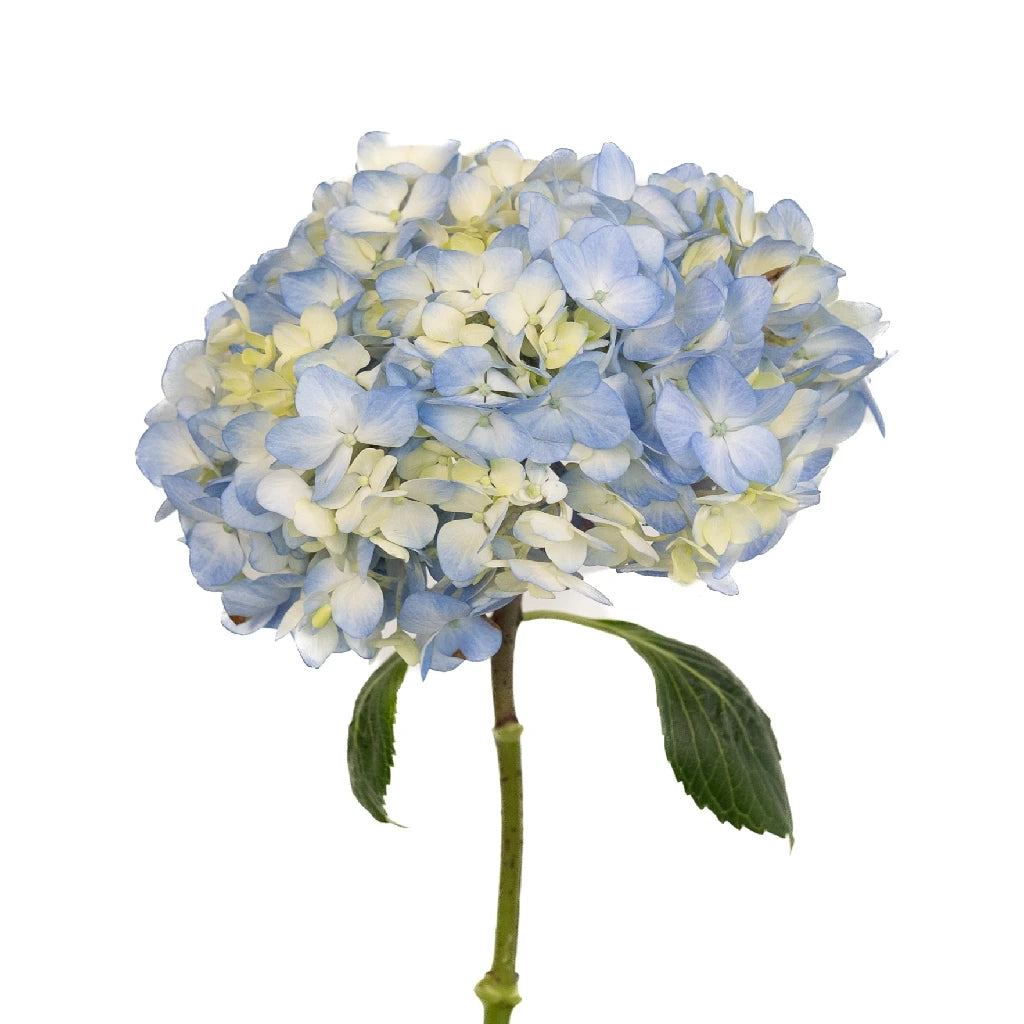 Blue Ivory Mist Hydrangea Flower - Artificial Silk Hydrangea Bouquet for Home Decor, Wedding Centerpieces & Floral Arrangements