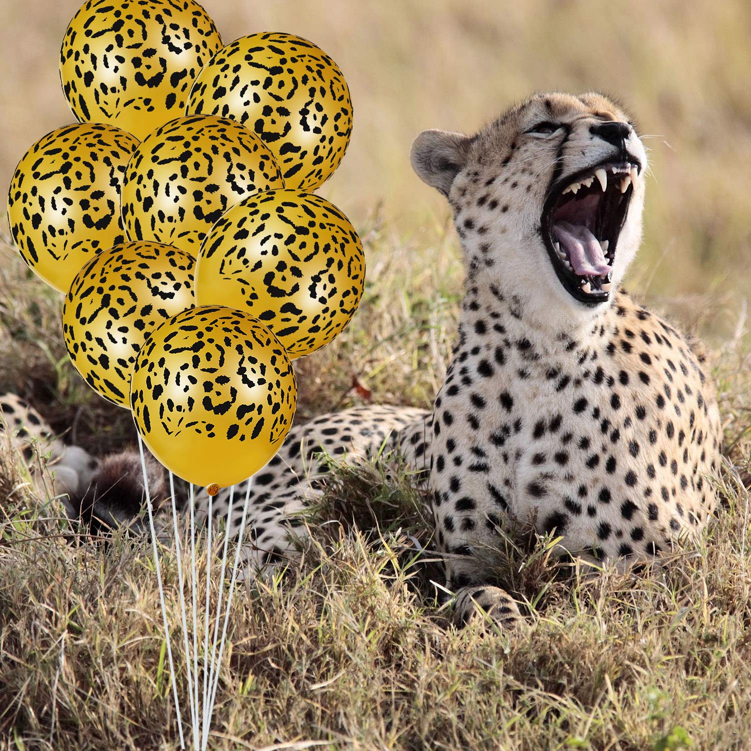 Sumind 60 Pcs Leopard Print Latex Balloons - Cheetah Animal Pattern Party Balloons for Birthday, Baby Shower, Safari & Jungle Theme Decorations - Perfect for Birthday Parties, Baby Showers, Gender Reveals and Tropical Themed Events
