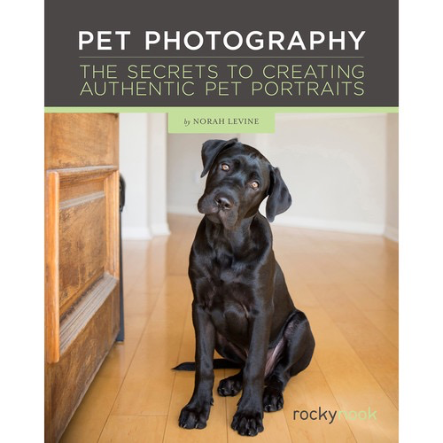 Norah Levine Pet Photography Guide: Secrets to Creating Authentic Pet Portraits for Dogs, Cats & Animals - Perfect for Pet Lovers, Instagram & Home Decor