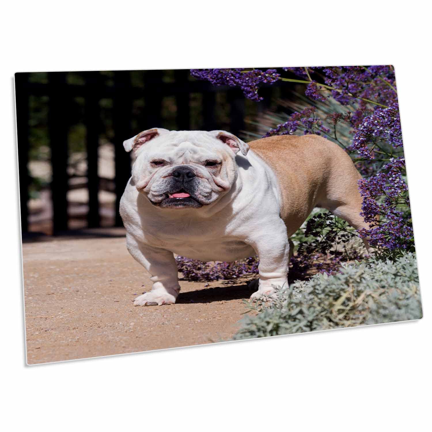 3D Rose Bulldog Standing on Garden Pathway - Non-Slip Desk Pad Place Mats Set of 4, 12