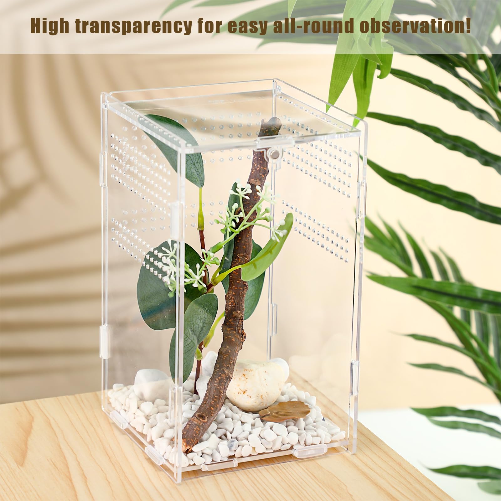 Premium Jumping Spider Terrarium - 4.7x4.7x7.9 Inch Glass Enclosure for Tarantulas, Reptiles & Hermit Crabs | Ideal for Pet Spiders, Small Reptiles & Micro Habitats | Perfect for Home, Office or Classroom Observation
