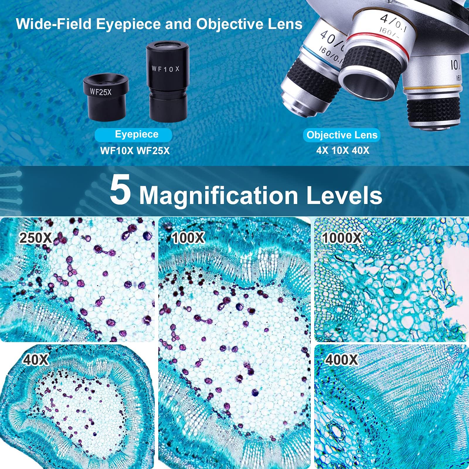 40X-1000X Binocular Compound Microscope for Adults & Students - Professional Lab-Grade Microscope with Slides, Phone Adapter & Specimen Kit - Perfect for Home Education, Science Hobbies & Biological Research