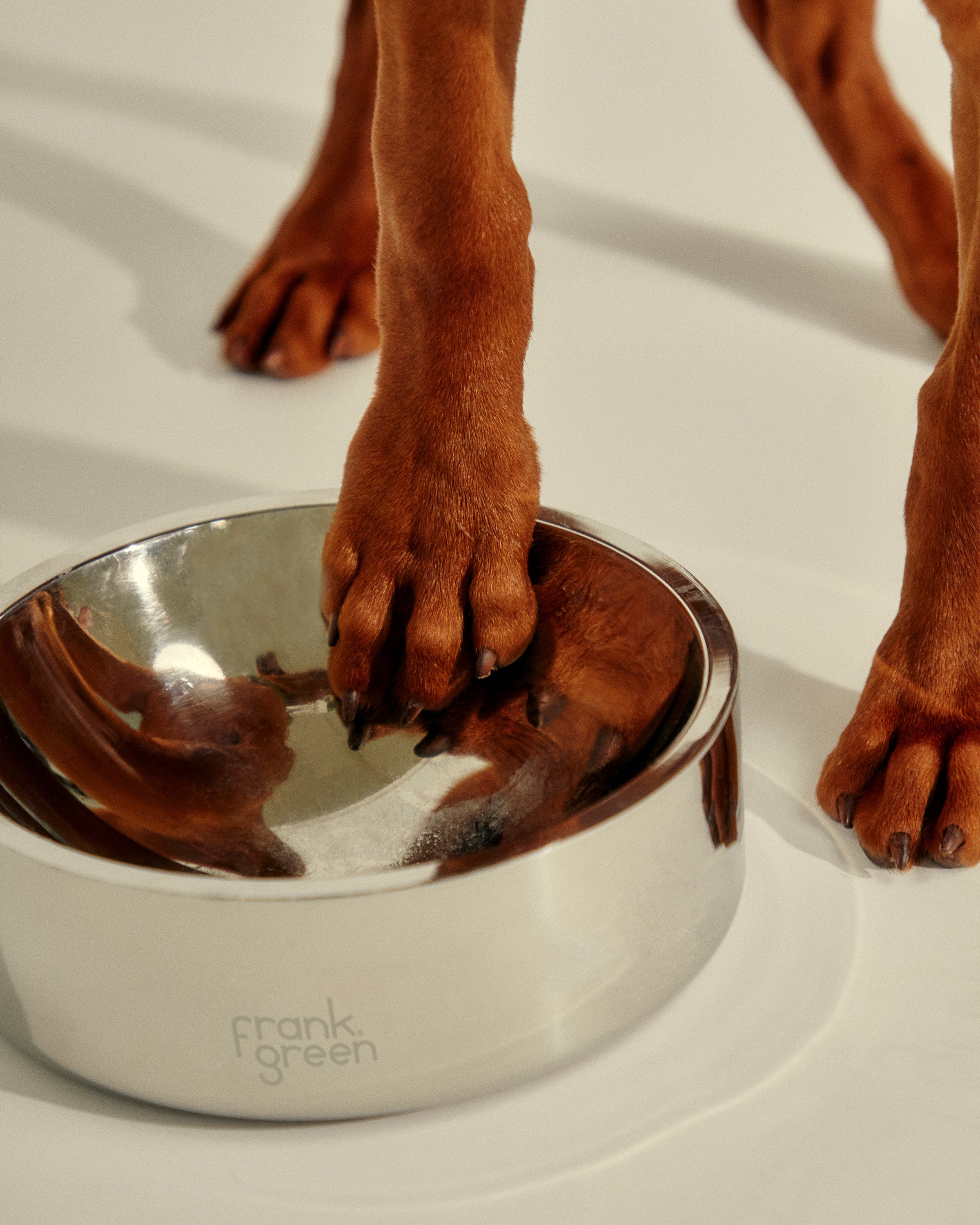 Premium Stainless Steel Dog Bowl - Extra Large Non-Slip Pet Food & Water Dish for Large Breed Dogs - Ideal for Indoor & Outdoor Use, Travel, and Training