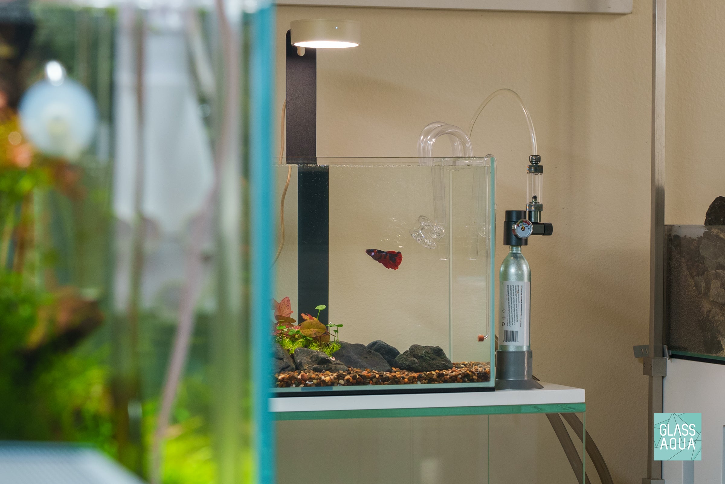 Micro CO2 Bundle Kit for Aquarium Plants - Enhance Plant Growth with Carbon Dioxide Injection System | Perfect for Freshwater Tanks & Aquatic Gardens