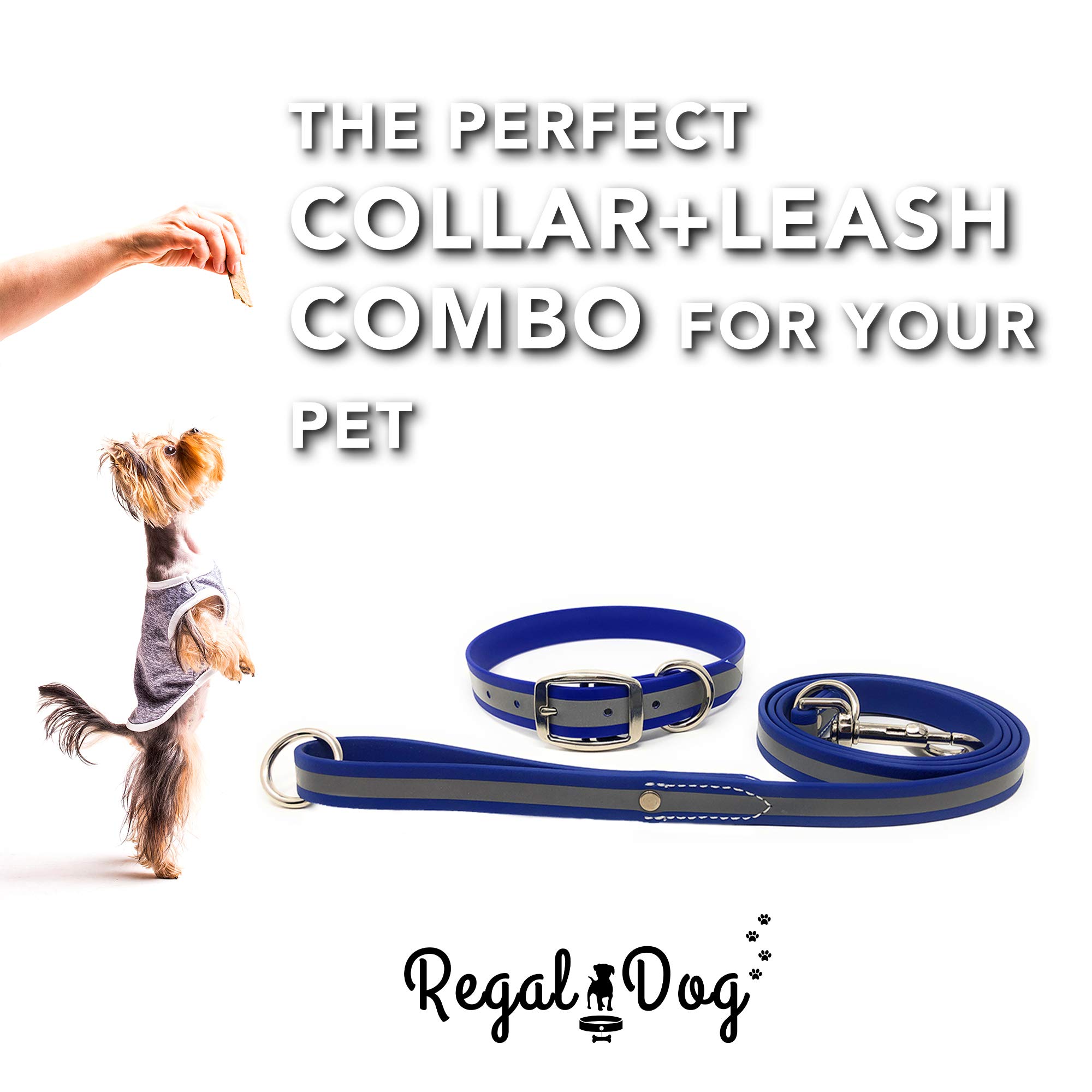Regal Dog Products Large Blue Reflective Dog Collar and Leash Set - Waterproof Biothane Dog Collar with Heavy Duty Double Buckle, D Ring & 5ft Leash - Perfect for Medium & Large Dogs - Ideal for Night Walks, Hiking, and Outdoor Adventures