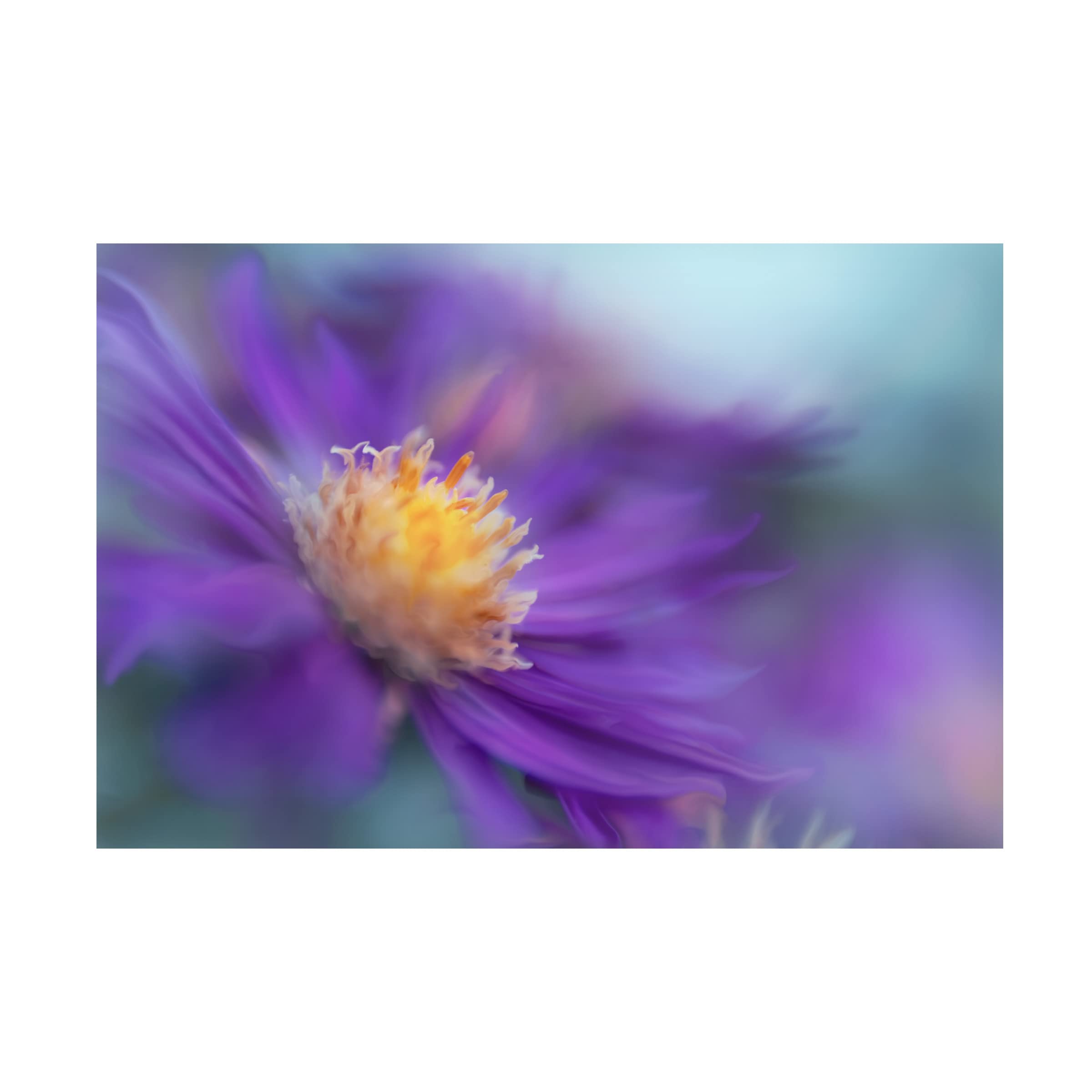 Trademark Fine Art 'Gold And Purple in the Mist III' Canvas Wall Art by Gillian Hunt - Elegant Home Decor for Living Room, Bedroom & Office