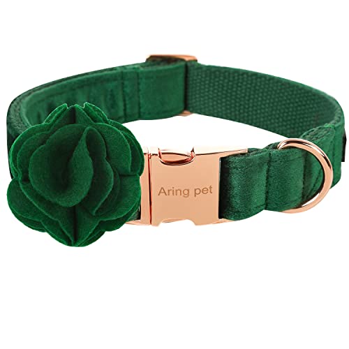 B:dark green