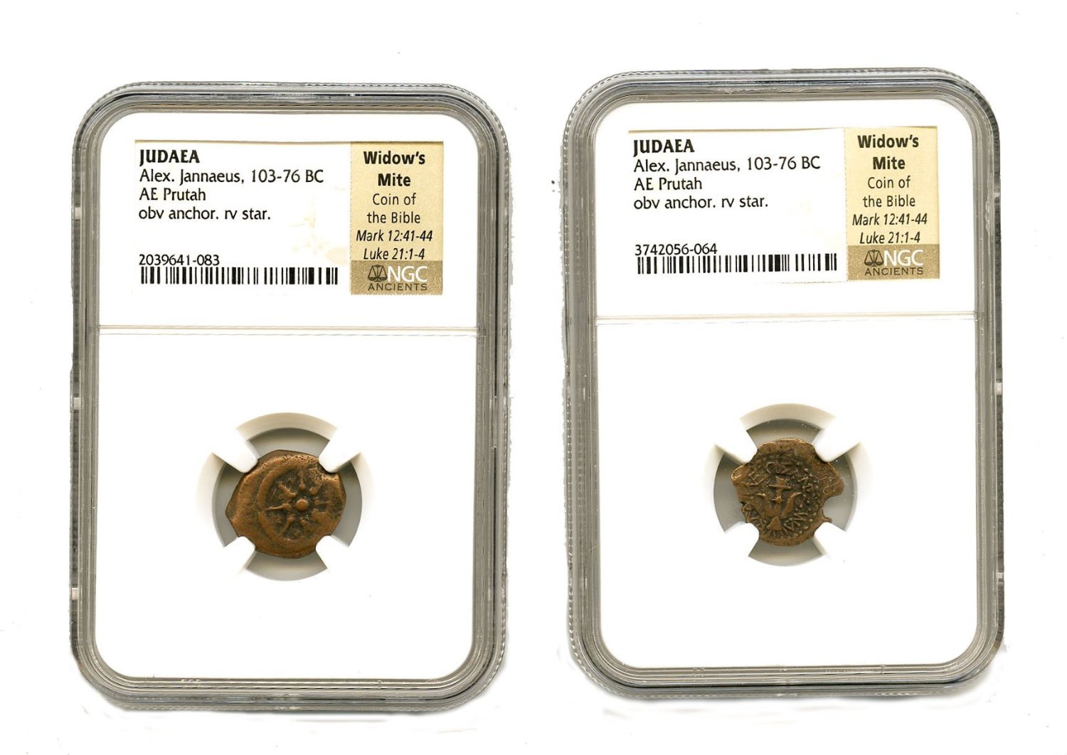 Widow's Mite NGC Certified Ancient Biblical Coin - Authentic Collectible for History Enthusiasts & Religious Artifacts Display