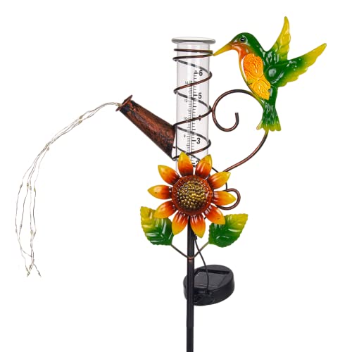 Hummingbird F
