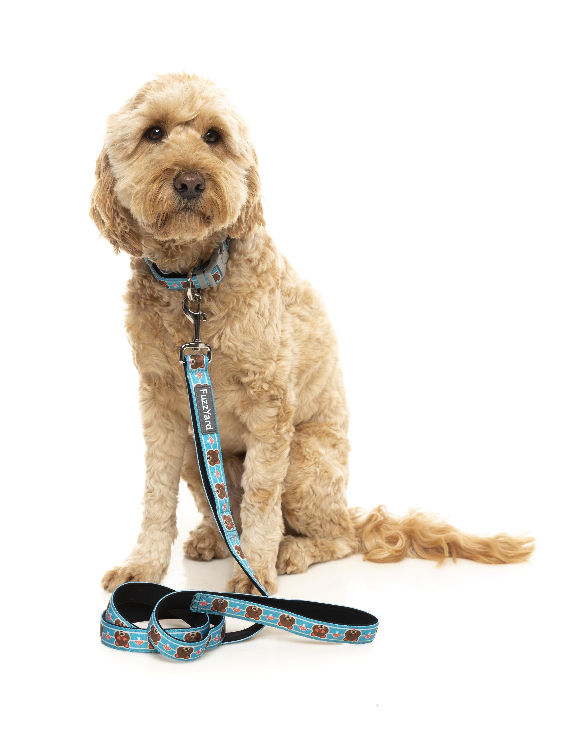 FuzzYard Fuzz Bear Dog Collar - Soft Plush Pet Collar for Small & Medium Dogs - Perfect for Daily Walks, Outdoor Adventures & Pet Fashion
