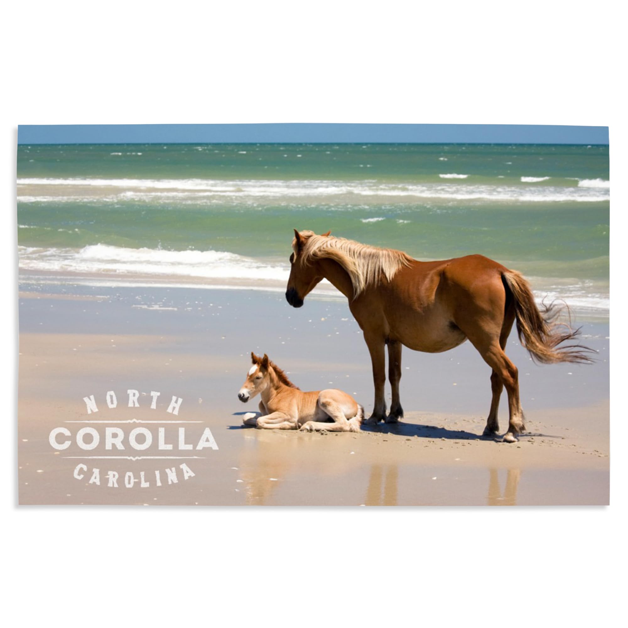 Lantern Press 16x24 Inch Giclee Art Print - Corolla NC Beach Scene with Wild Banker Ponies & Foal - Coastal Wall Decor for Living Room, Bedroom or Office