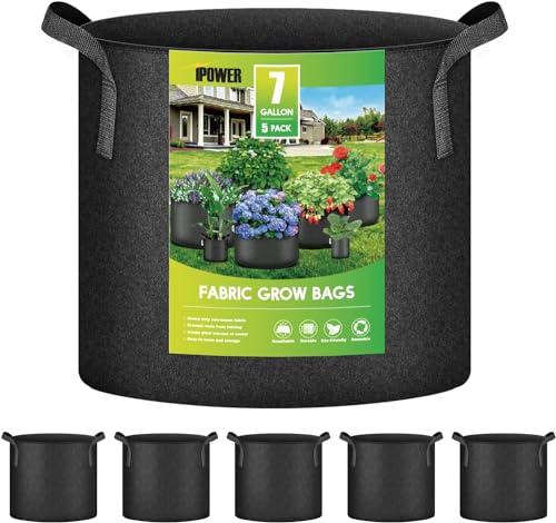 5-pack Black