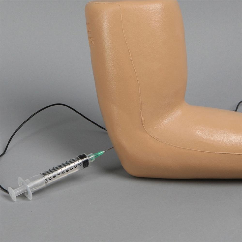 Elbow Injection Model - Medical Training Arm for IV Practice - Perfect for Nursing Students, EMTs & Healthcare Professionals
