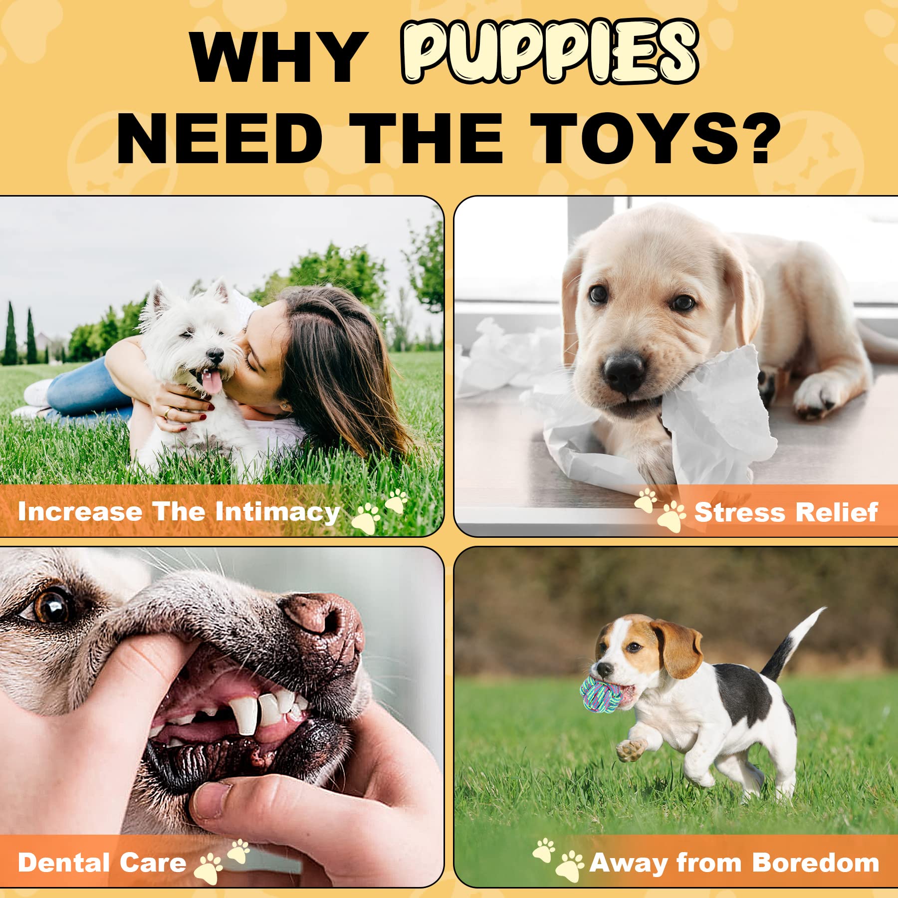 Durable Dog Chew Toys for Aggressive Chewers - 15 Pack for Small Dogs & Puppies - Perfect for Teething & Playtime