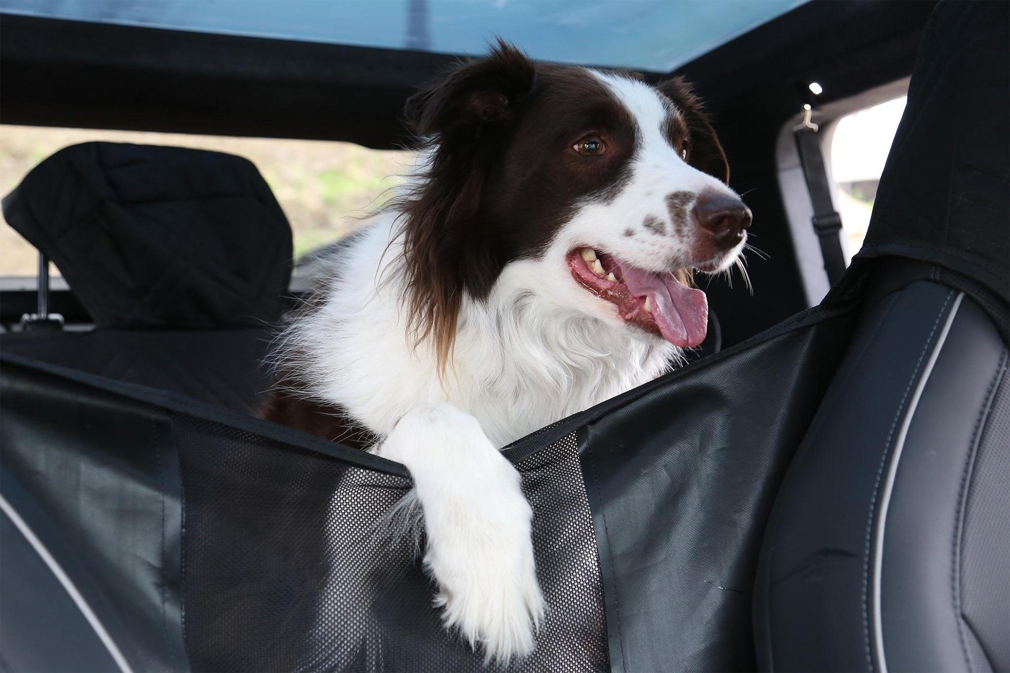 Premium Custom Fit Dog Seat Cover for Tesla Cybertruck - Waterproof & Nonslip Pet Car Seat Protector - Perfect for Road Trips & Outdoor Adventures