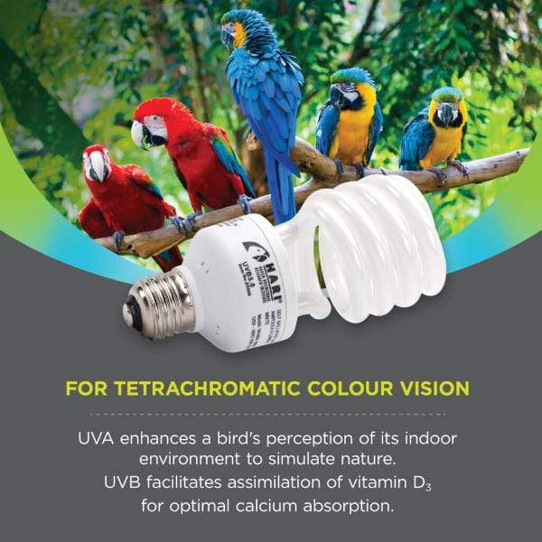 Hari Avian UVB 5.0 & UVA 25 Light Bulb 26W - Reptile & Bird Heating Lamp for Terrariums, Aviaries, and Pet Habitats - Ideal for Basking, Vitamin D3 Synthesis, and Daylight Simulation