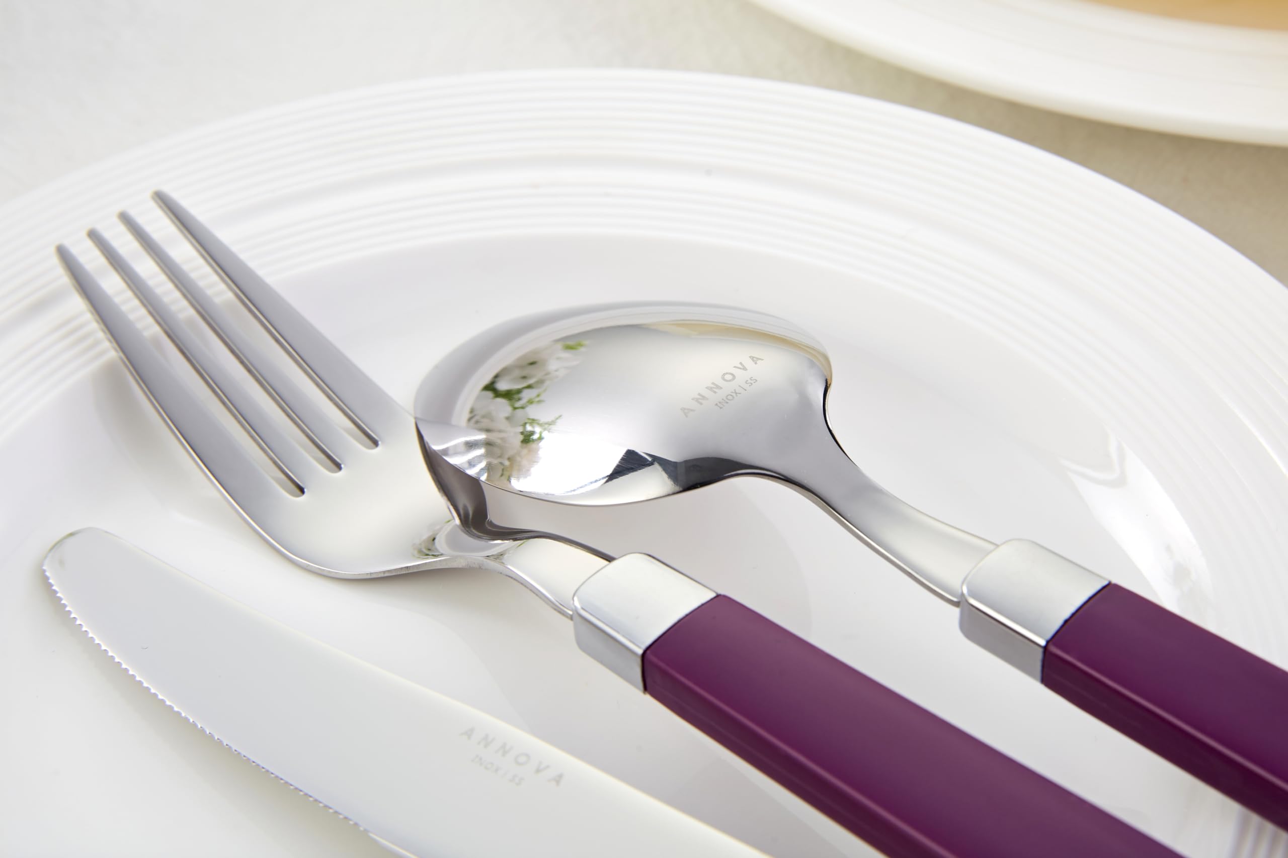 ANNOVA 20-Piece Stainless Steel Flatware Set with Purple Handles - Dinner Forks, Salad Forks, Knives, Tablespoons & Teaspoons - Elegant Cutlery for Dining, Parties & Everyday Use