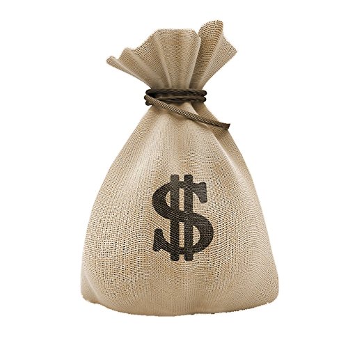 Frankies Cajun Customs Money Bag 2 Vinyl Decal - 72 Inch Wall Sticker for Car, Laptop, Windows & More - Perfect for Home, Office & Vehicle Decor