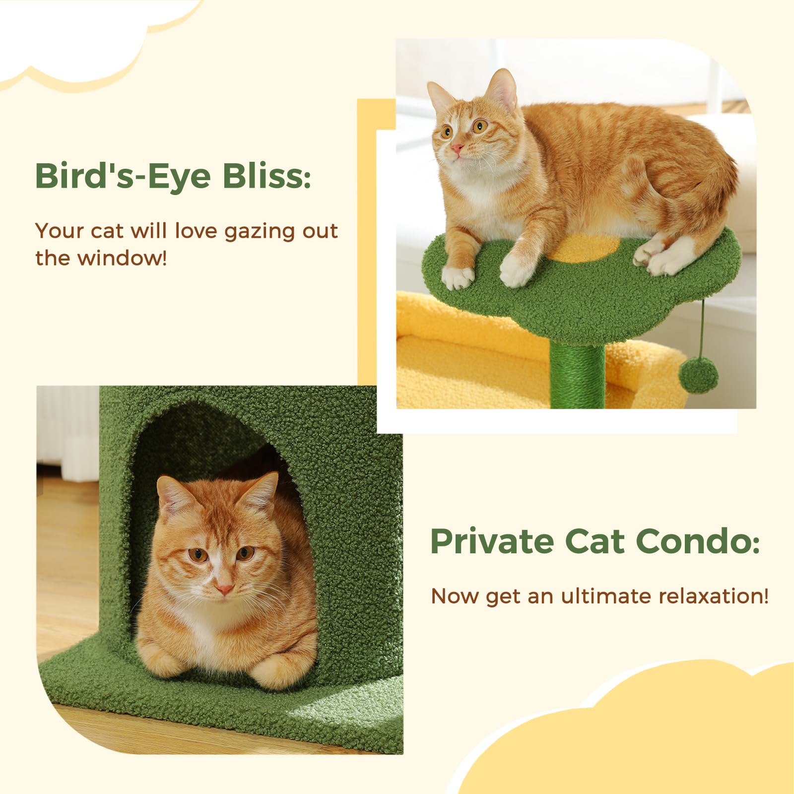 Made4Pets 36.5 Inch Multi-Level Cactus Cat Tree with Scratching Posts & Plush Perch - Indoor Cat Tower with Private Condo for Kittens & Small Cats - Perfect for Play, Rest & Scratching in Home or Office