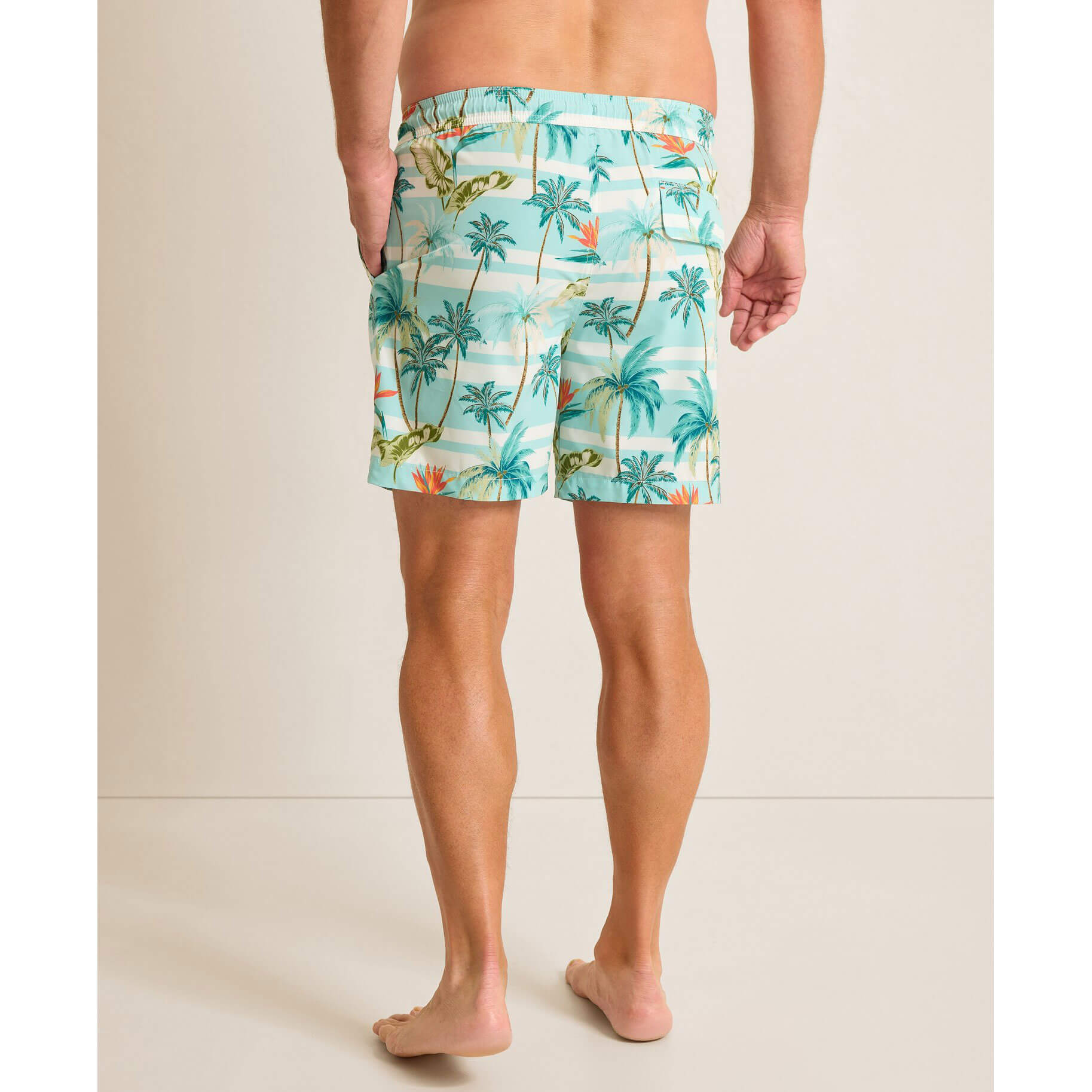 Tommy Bahama Men's 6 Inch Naples Palmero Stripe Swim Trunks - Quick Dry Beach Shorts for Swimming, Vacation & Summer Activities (Spring Sky Color)