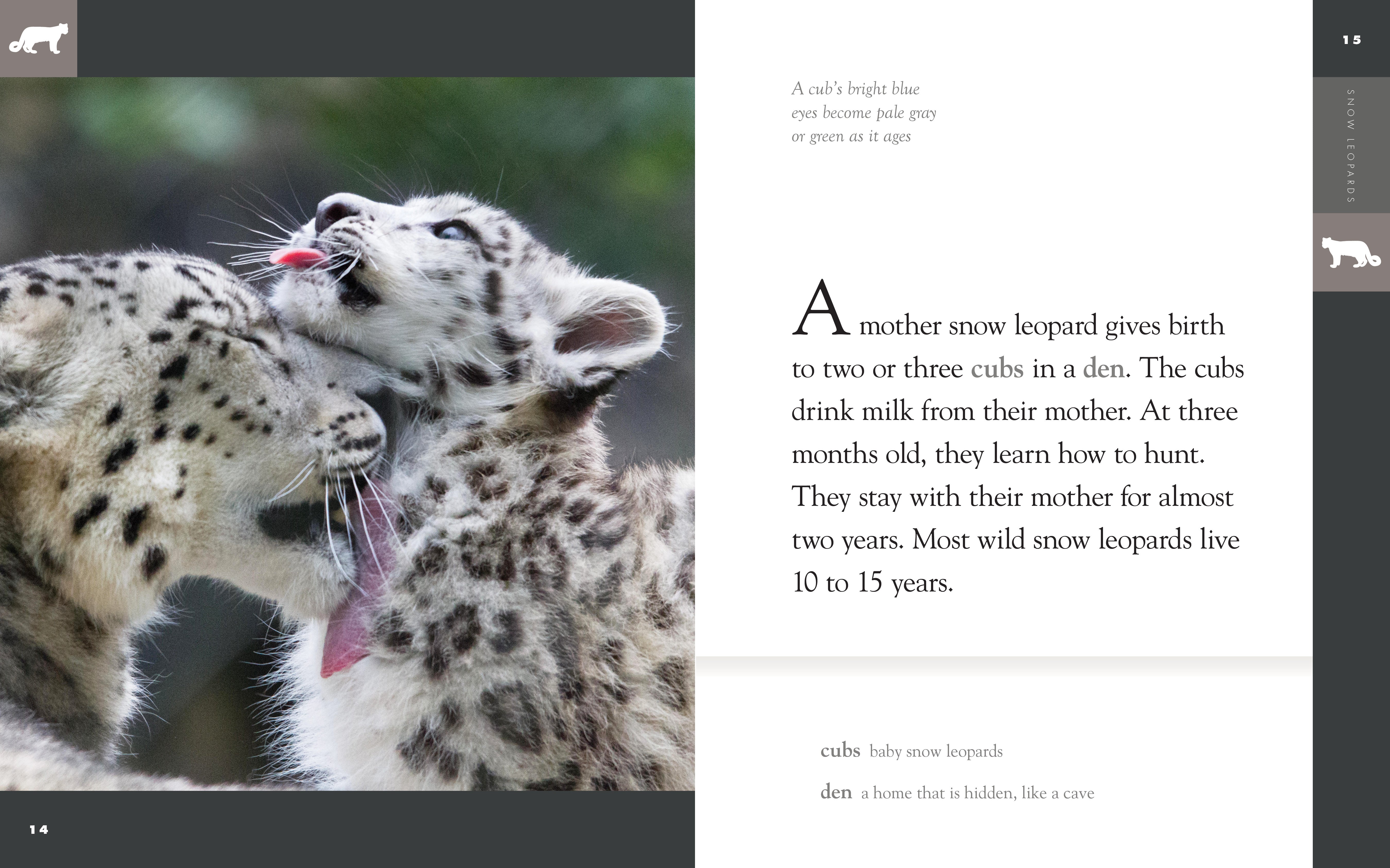 Amazing Animals (2014): Snow Leopards - Wildlife Documentary Film for Nature Lovers & Educational Use in Schools
