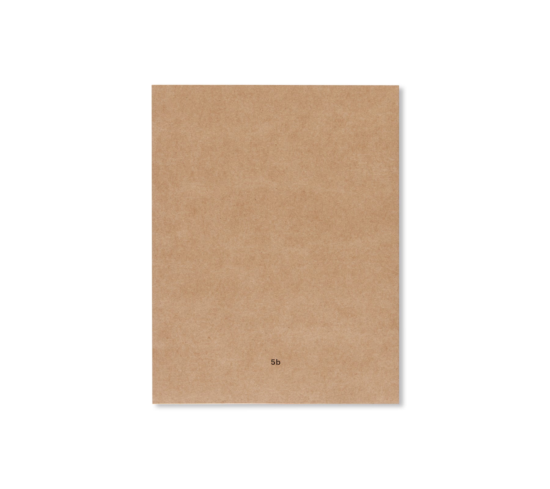 NO FISH by Sarah Schneider - Premium Vegan Seafood Alternative for Plant-Based Diets | Perfect for Vegan Cooking, Sustainable Meals & Seafood-Free Lifestyles