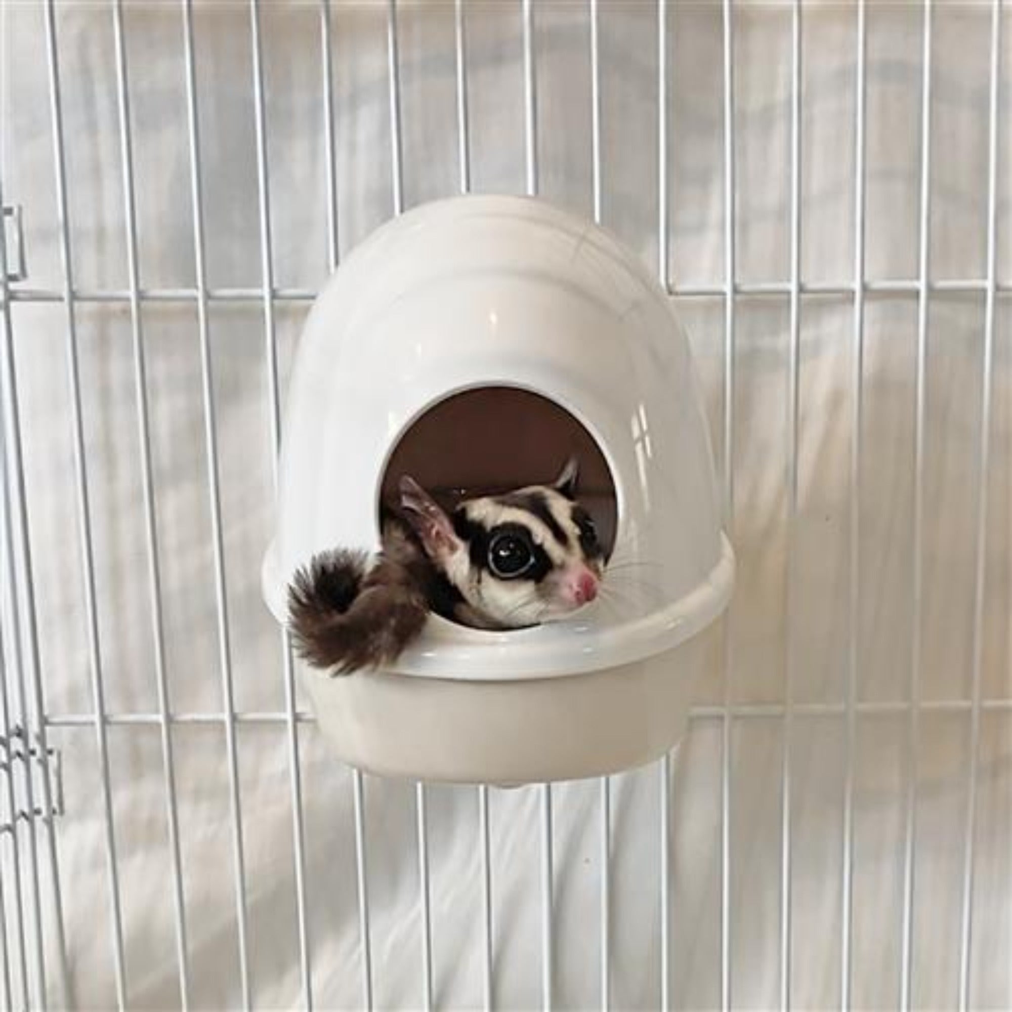 No Mess Press N' Slide Pet Food Dispenser with Dome Lid - Perfect for Cats & Dogs Feeding at Home or Travel