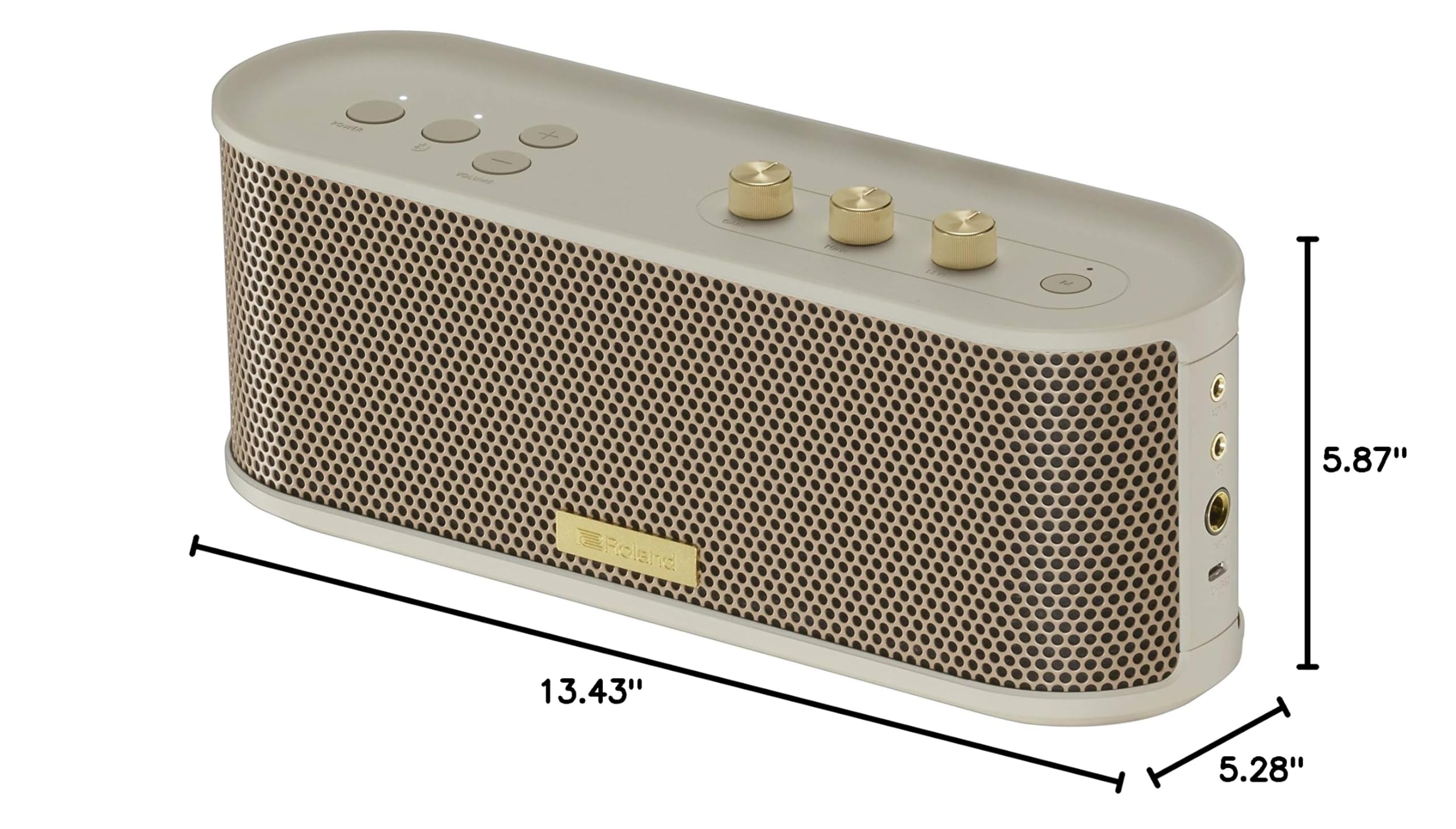 Roland BTM-1 Portable Bluetooth Speaker with Guitar Input - Perfect for Musicians, Outdoor Performances & Home Practice