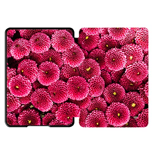 Safflower