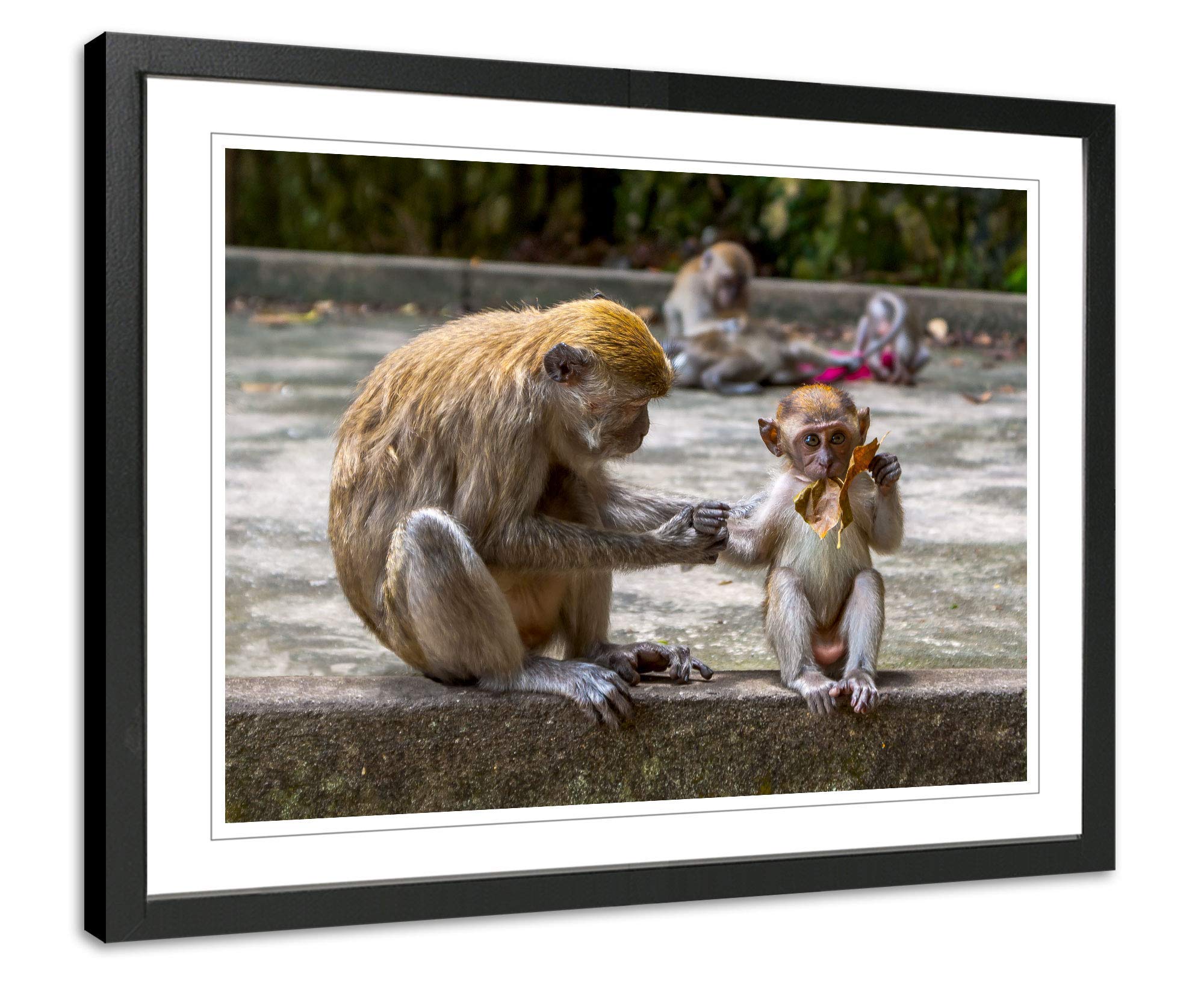 Monkey Wall Art Photography - Macaques Mother and Baby Print - Wildlife Home Decor for Living Room, Nursery & Office