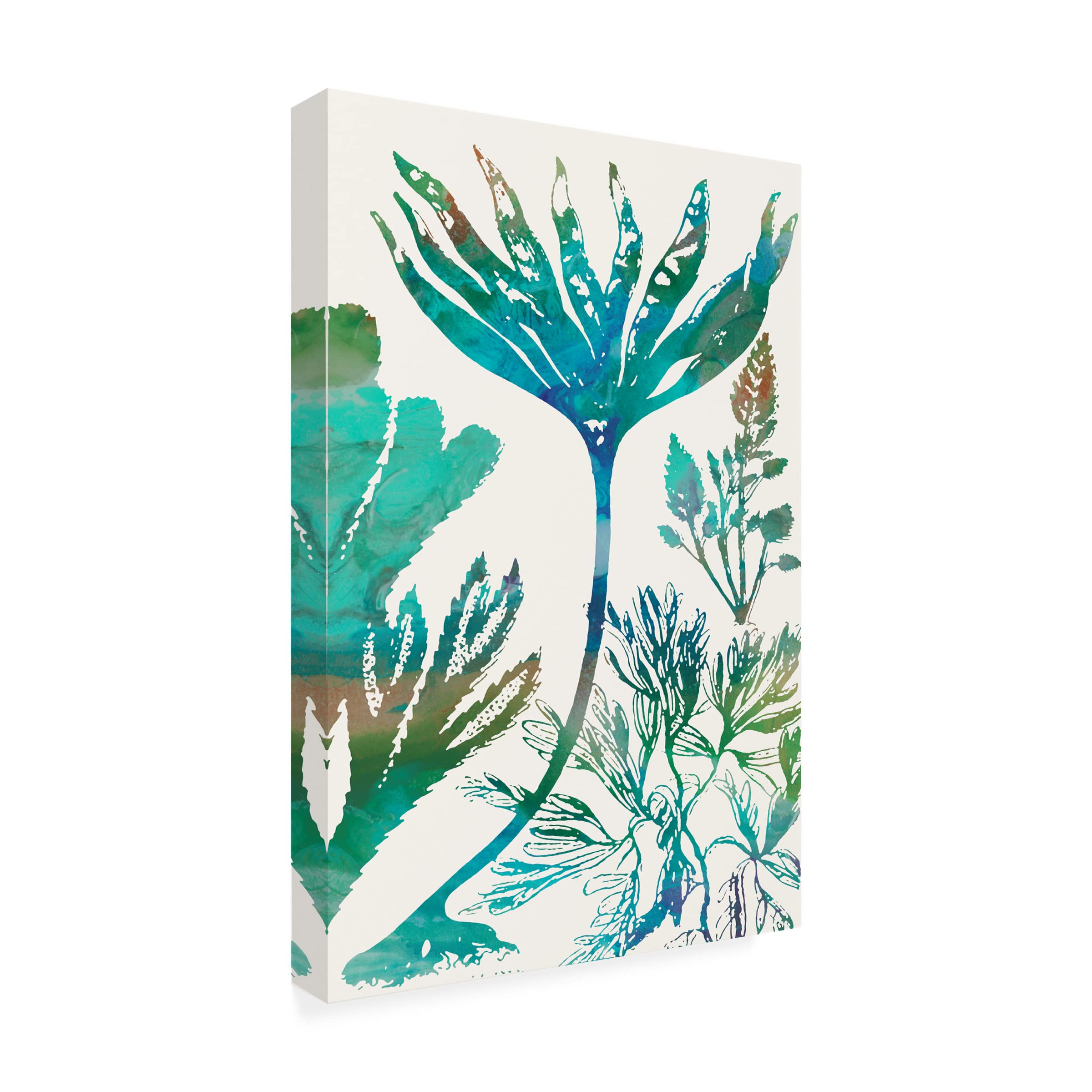 Trademark Fine Art 'Aquatic Assemblage IV' Canvas Wall Art by Sharon Chandler - Perfect for Living Room, Bedroom & Office Decor