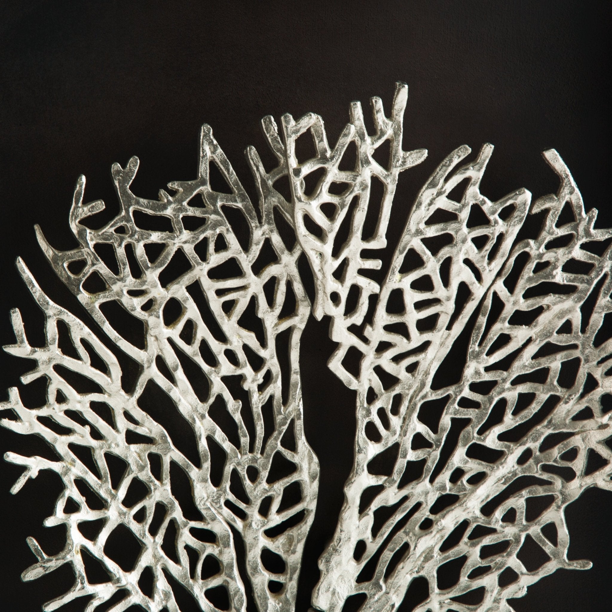 Beautiful Fan Coral Shadow Box - Handcrafted Home Decor for Beach House, Coastal Living Room & Nautical Theme Bedroom