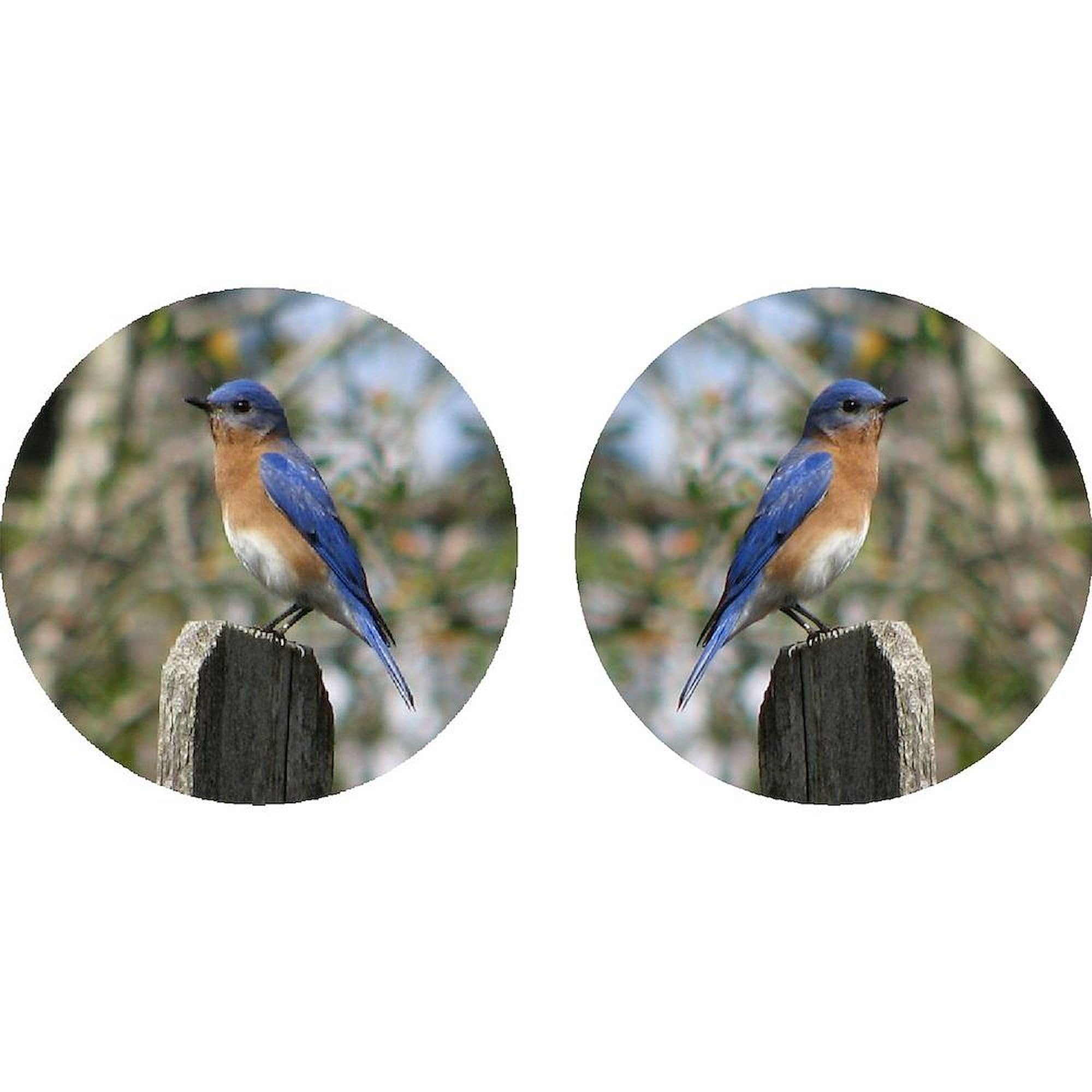 Eastern Bluebird Ceramic Coffee Mug 11 oz (325 ml) - Handmade Gift for Bird Lovers, Perfect for Tea, Hot Chocolate & Office Use - CafePress
