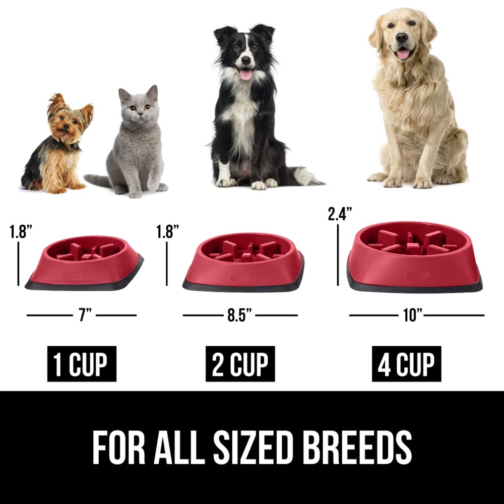GORILLA GRIP Slow Feeder Dog Bowl - Interactive Puzzle Toy for Dogs & Cats - Prevents Overeating & Keeps Pets Busy - BPA Free Pet Food Training Dish - 1 Cup Capacity - Red - Perfect for Meal Time & Mental Stimulation