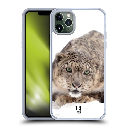 Snow Leopard On Ice