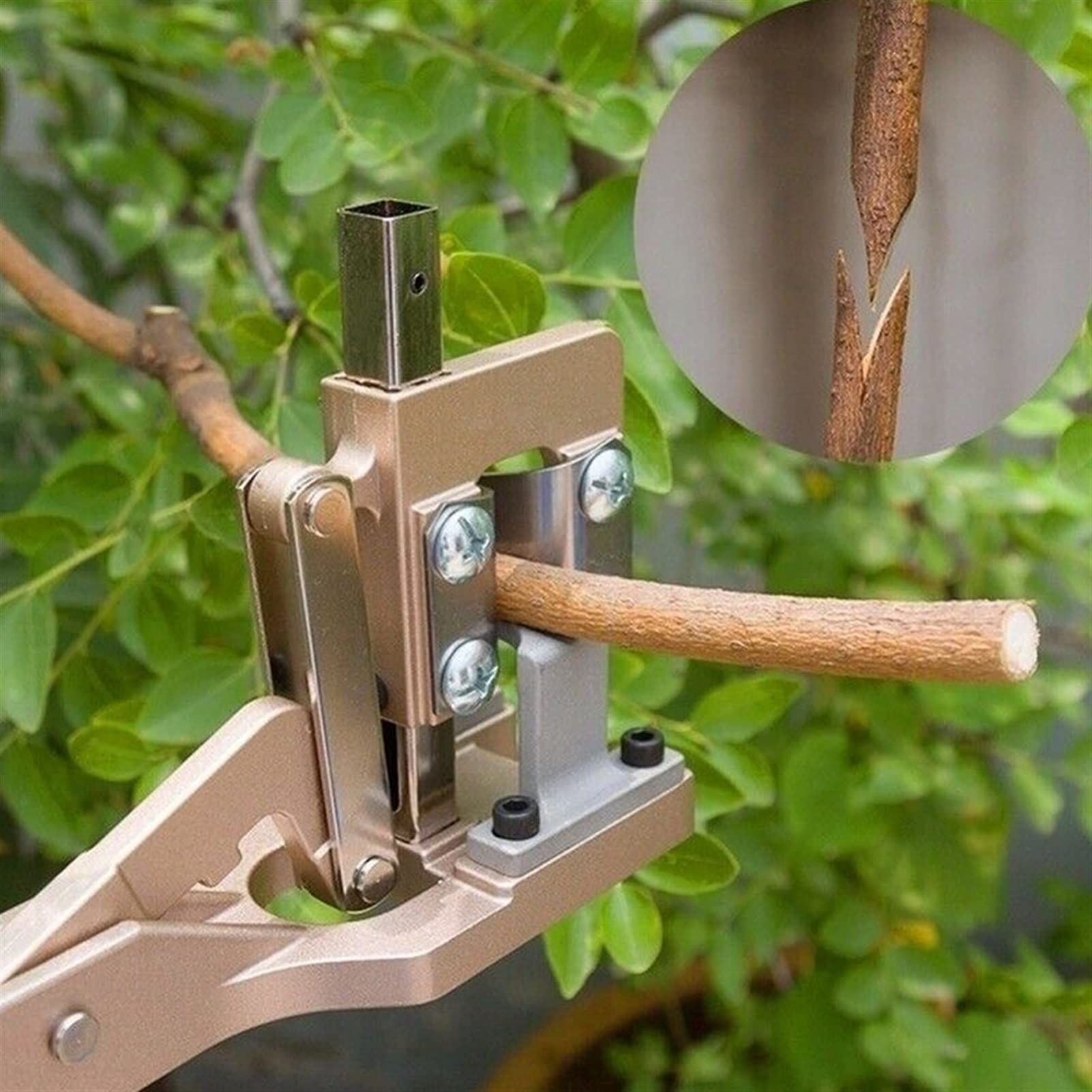Professional Garden Grafting Tool Kit - Tree Pruning Shears & Scissor for Plant Grafting, Vegetable Grafter, Fruit Tree Cutting - Perfect for Home Gardening, Orchard Maintenance, and DIY Plant Propagation