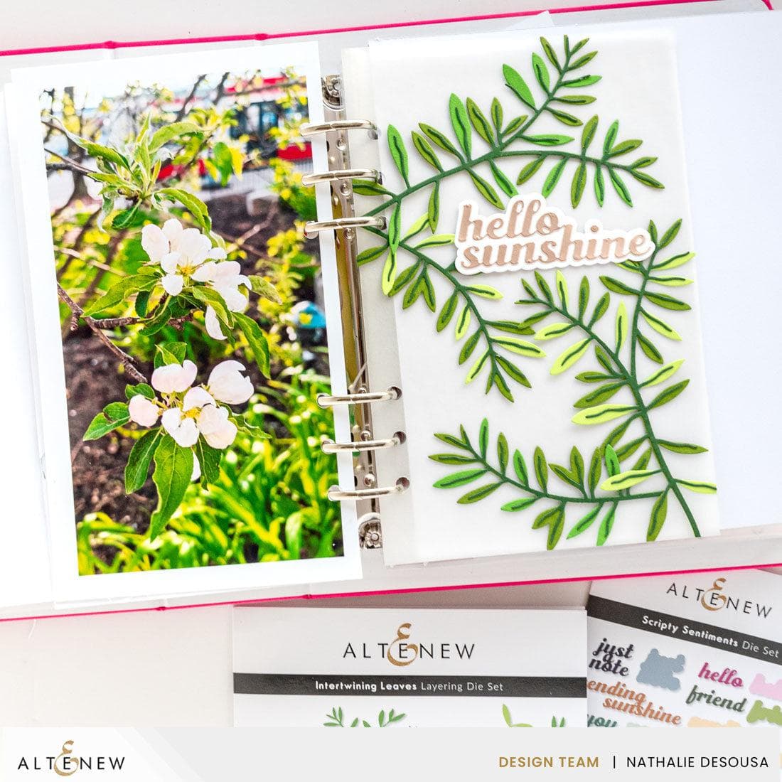 Premium Reindeer Moss Cardstock for DIY Crafts - 10 Sheets Set - Perfect for Scrapbooking, Greeting Cards, and Home Decor Projects